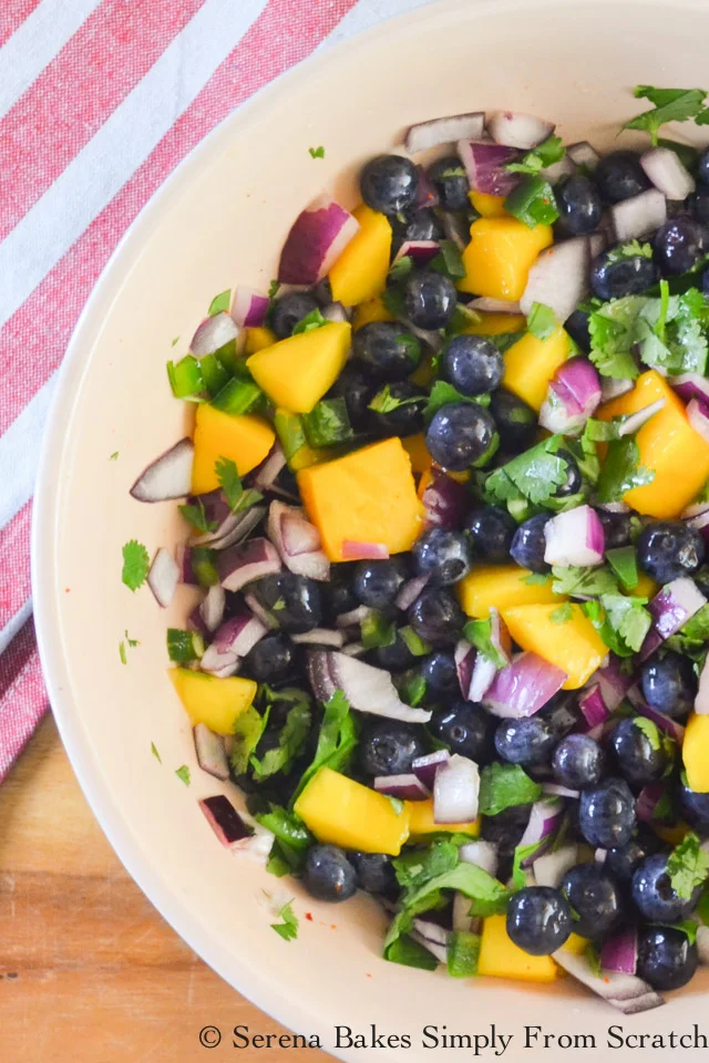 Blueberry Mango Salsa is delicious plain or served over fish/chicken.