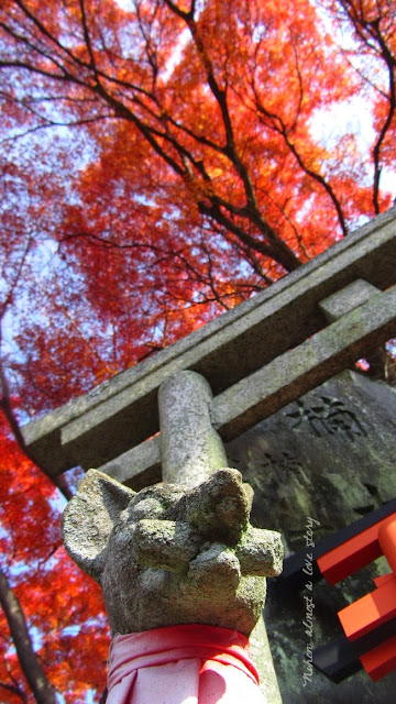 Fushimi Inari