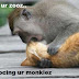 I am In Your Zoo, Seducing Your Monkie