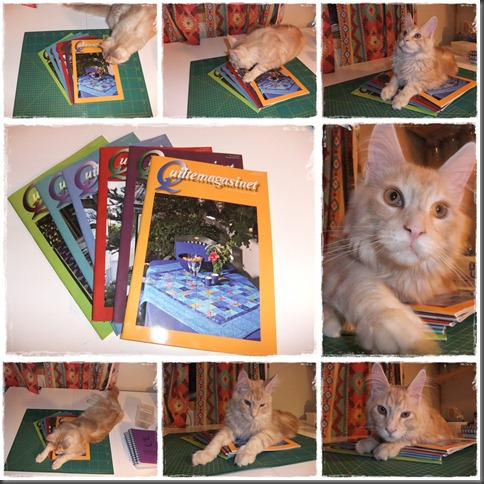 page2011.02.03.002.