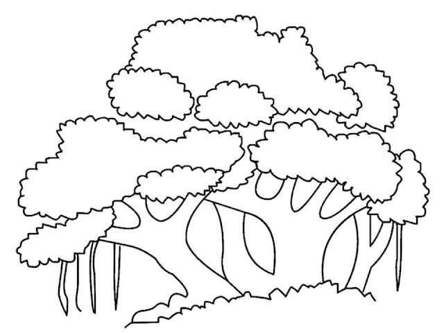 Gambar mewarnai pohon beringin