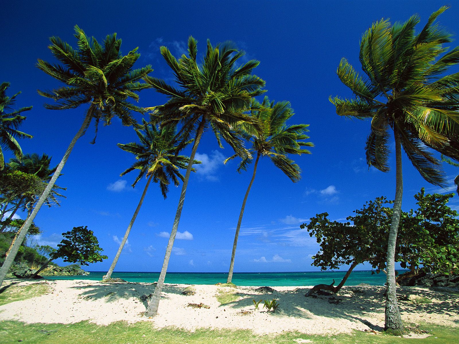 Bacardi Beach Cayo Levantado Dominican Republic