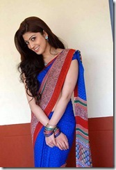 pranitha_in_saree_photo