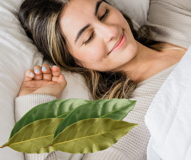 Voici comment utiliser les feuilles de laurier pour avoir un sommeil paisible