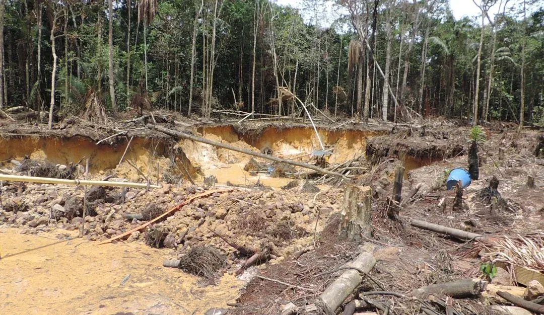 Gobernación avanza en lucha contra la deforestación en Mapiripán