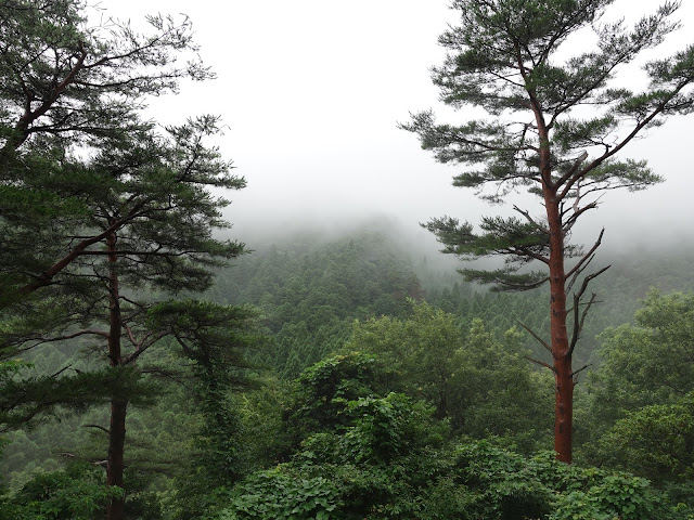 鳥取県道299号赤松淀江線　鳥取県西伯郡大山町今在家