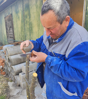 Tapping his blade with a rock to split the wood