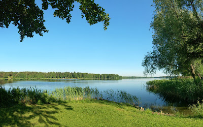 Paisajes naturales VII (Más allá de los verdes prados)