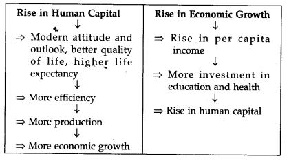 Solutions Class 11 Indian Economic Development Chapter -5 (Human Capital Formation in India)