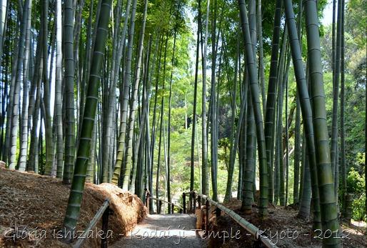 Glória Ishizaka - Kodaiji Temple - Kyoto - 2012 - 47