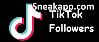 Sneakapp. com | sneakapp.com Hasilkan followers tiktok gratis 2020