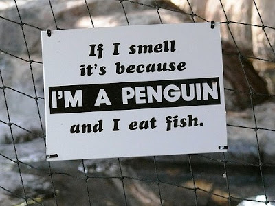 Funny-Animal-Signs