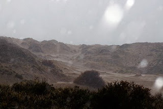 Granizo y viento una combinación fria para el invierno en Península Valdés