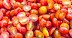 الدكتور صفوق العنزي: حبة طماطم واحدة توفر 40٪ من حاجتك اليومية لفيتامين سي.