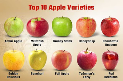 सेब की इतनी प्रजातिया है की खाने में 20  साल लग जाये