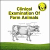 FREE Download Clinical Examination Of Farm Animals
