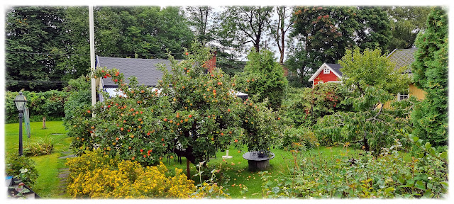 Roseveien i Solvang kolonihager, avdeling 1 på Sogn i Bydel Nordre Aker i Oslo
