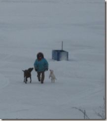 Jim walks Ruby& Toby_11-2-09