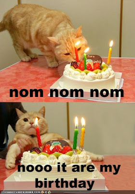Funniest Picture: Funny Birthday Quotes and Funny Birthday Pictures