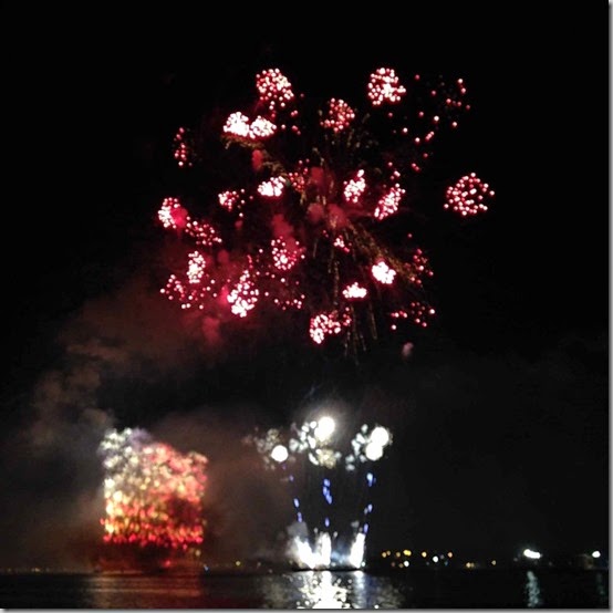 fireworks  (57)