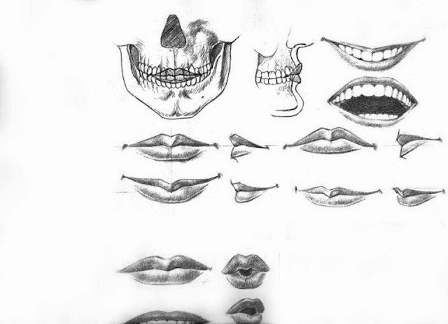 كيفية رسم الفم