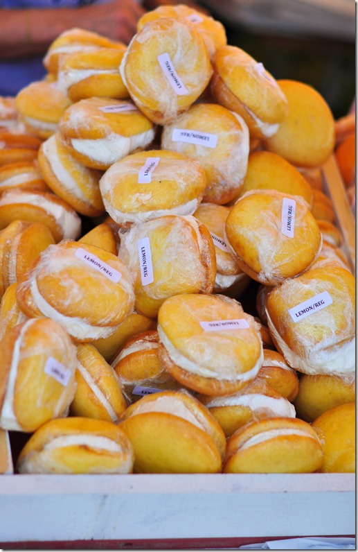 Strasburg and whoopie pie festival-1607