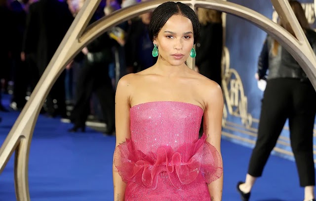 Zoe Kravitz - Biografie, filme și seriale