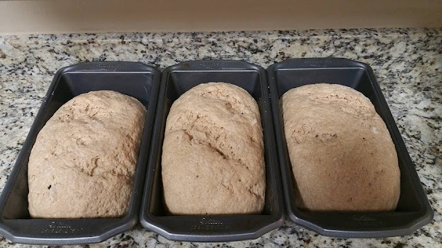 Basic Spelt Bread Recipe