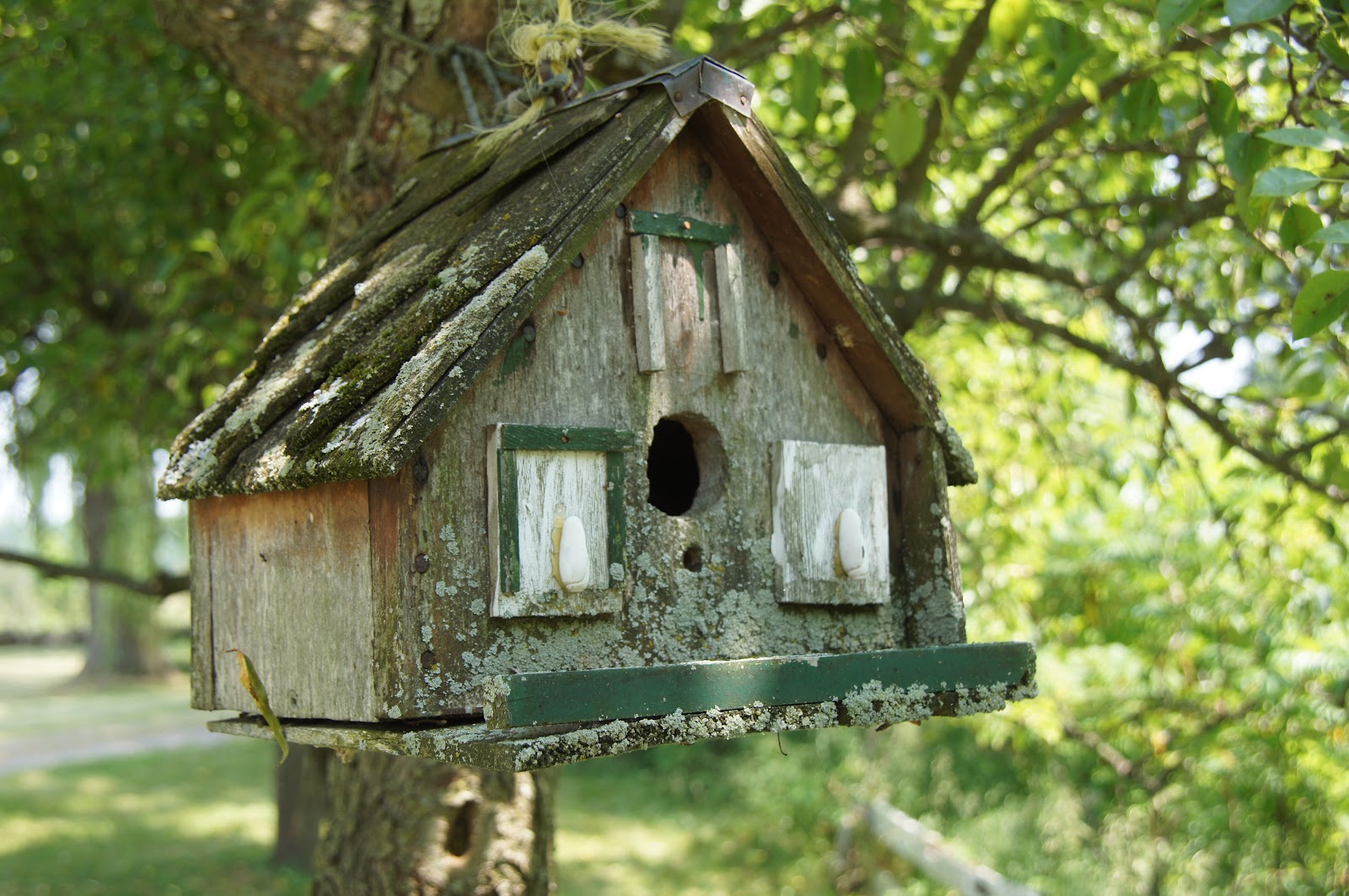 elaborate bird house plans