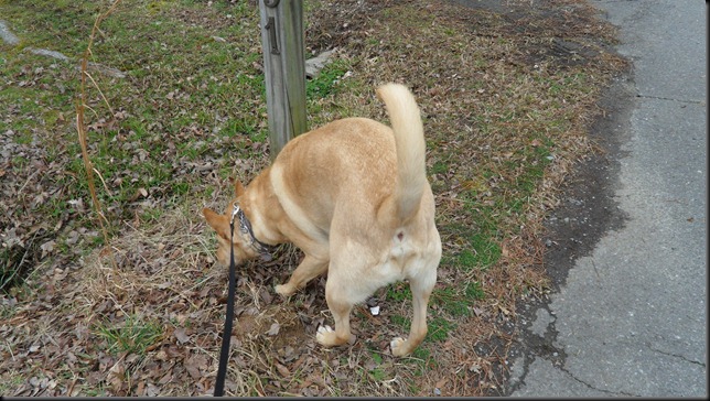 Hang on, I gotta check out this mail box post, to, um, make sure it's safe!