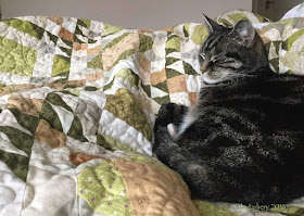 Suzi the Cat enjoying the 2015 Allietare Mystery Quilt 