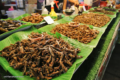 Serangga Goreng Semakin Populer