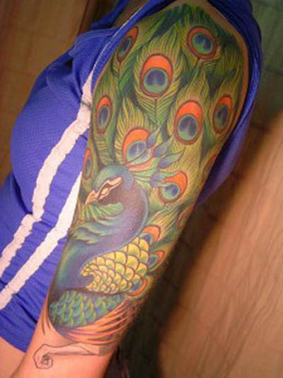 peacock feathers tattoo designs