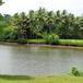 View album