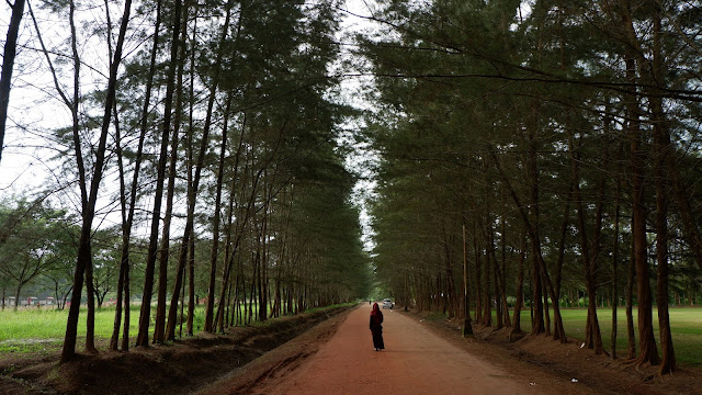 bangka botanical garden