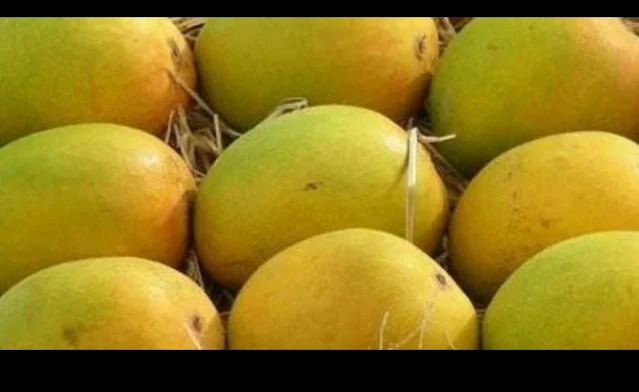 Famous Varieties of Indian Mangoes,