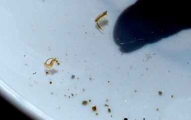 P1040548