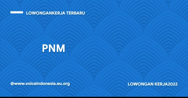 logo png PNM