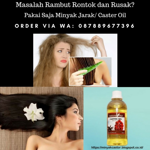 Minyak Jarak Untuk Rambut, Jual Minyak Jarak Murni, Castor Oil Untuk Rambut