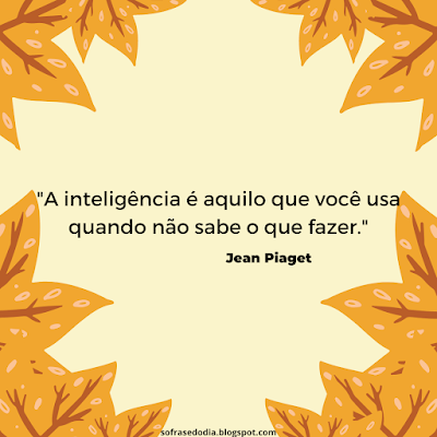 frases-frase-do-dia-24-de-abril