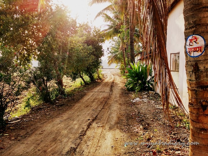 Soulie Saturday #15: Where Nature So Pure... (ISKCON Temple, Pandharpur)