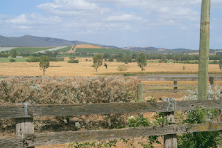 Yarra Glen lay deep in wine country.