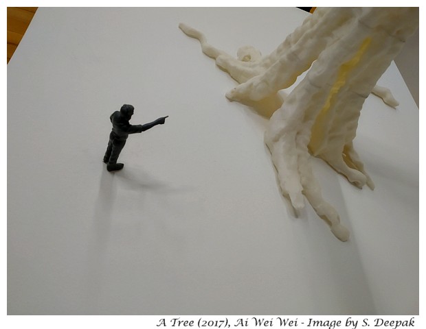 Roots of Pequi tree - Artworks of Ai Wei Wei - Brazil, Image by Sunil Deepak