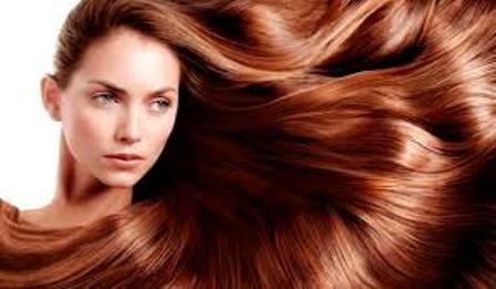 5 Foods That Make Your Hair More Healthier and Thicker