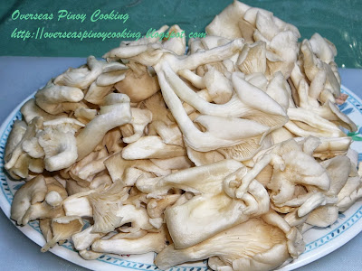 Oyster Mushroom