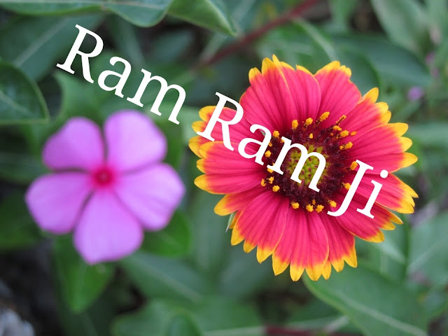 Ram Ram Ji
