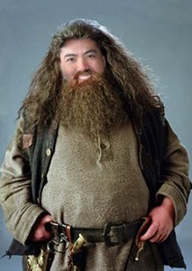 tedhagrid