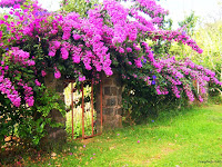 Kodai Kanal, The Old Gate