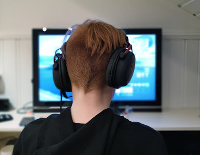 Unlocking the Path to Professional Online Gaming A Comprehensive Guide