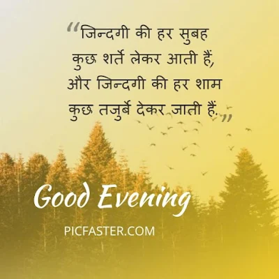 [ Latest ] Good Evening Images In Hindi Shayari Download [2020]